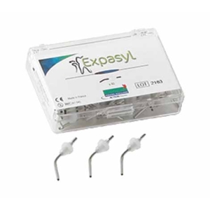 Acteon Expasyl Cannulas Pre-Bent (40)