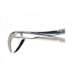 Duralast Forcep #75 Lower Premolar