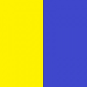 UNIDENT 4mm Mouthguard Blank WEST COAST EAGLES 2 color 127mm square