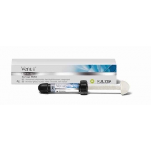 Kulzer Venus Diamond ONE Syringe 4g